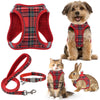 Pet Accessories
