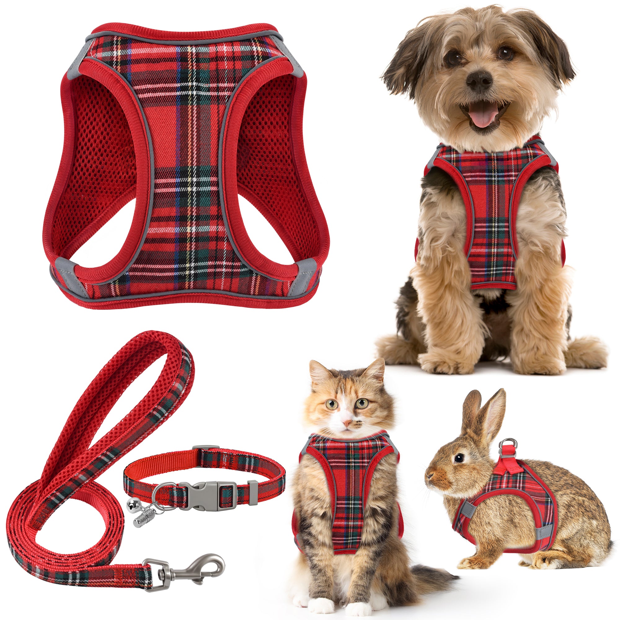 Small Dog Harness Collar and Leash Set