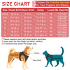Small Dog Harness Collar and Leash Set
