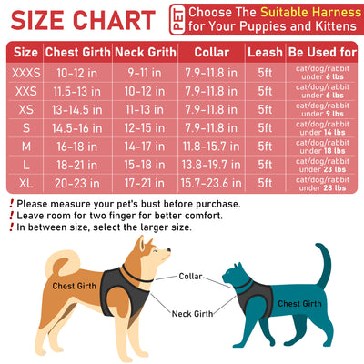 Small Dog Harness Collar and Leash Set