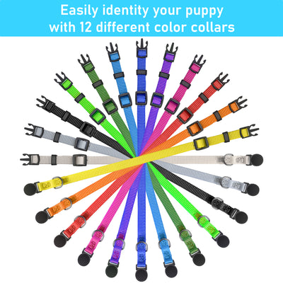 Puppy Collars Breakaway - set of 12