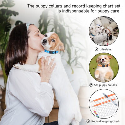 Puppy Collars Breakaway - set of 12