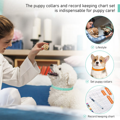 Puppy Collars Velcro - set of 15