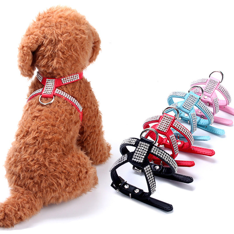800petsupplies best sale