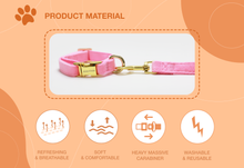 Load image into Gallery viewer, ANSOTHIN DOG COLLAR AND LEASH
